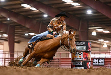 Load image into Gallery viewer, Review My Ride with a Stall High Coach