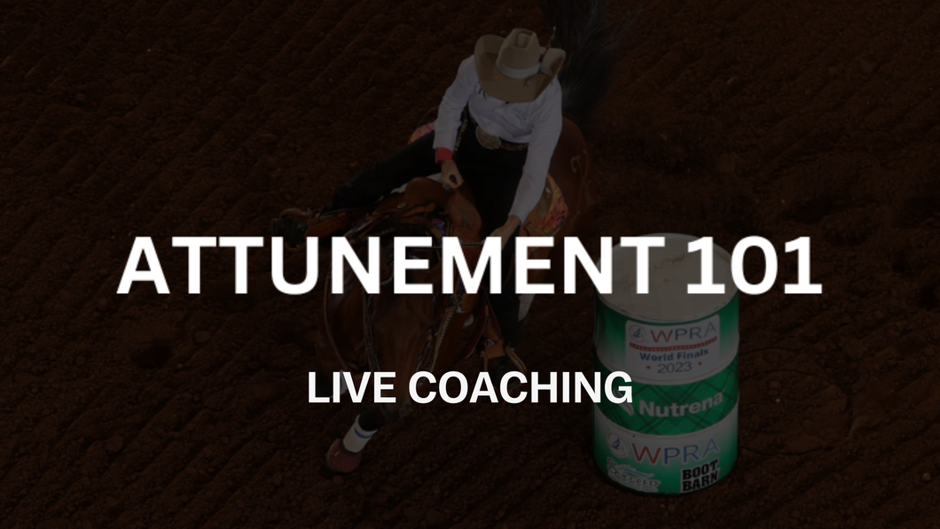 Attunement 101 Plus Live Coaching